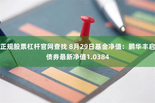 正规股票杠杆官网查找 8月29日基金净值：鹏华丰启债券最新净值1.0384