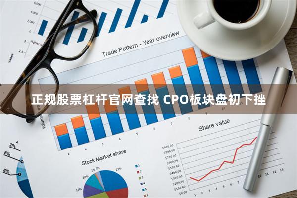 正规股票杠杆官网查找 CPO板块盘初下挫