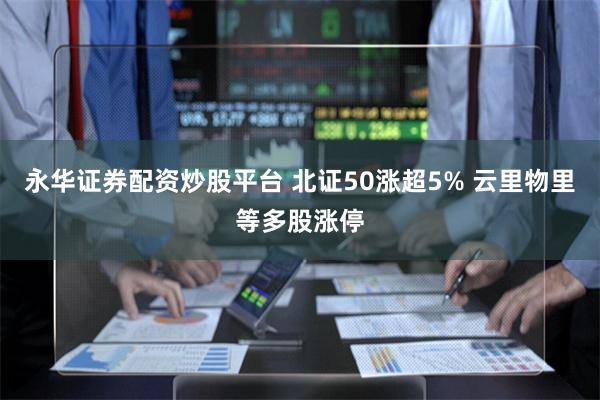 永华证券配资炒股平台 北证50涨超5% 云里物里等多股涨停